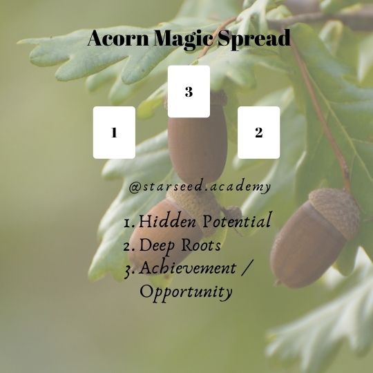 Diagram to show a tarot spread featuring the essence of the acorn.